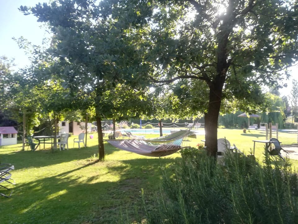 Garden, Decorative detail, Swimming pool, Swimming pool