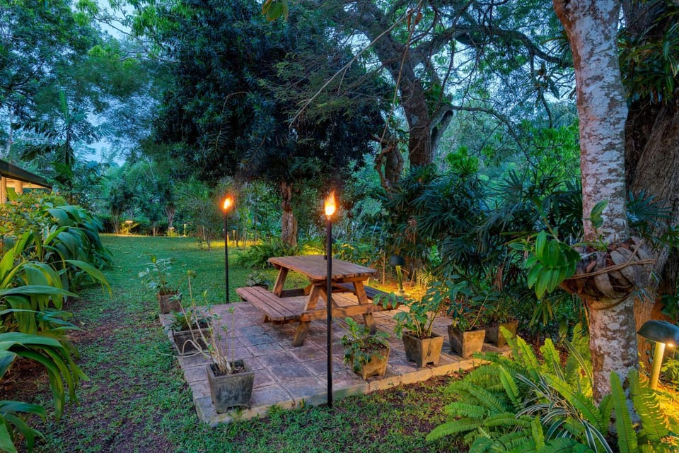 Garden view