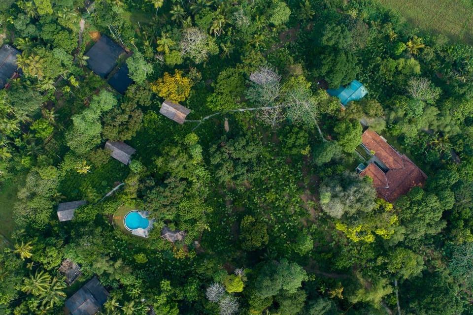 Day, Natural landscape, Bird's eye view