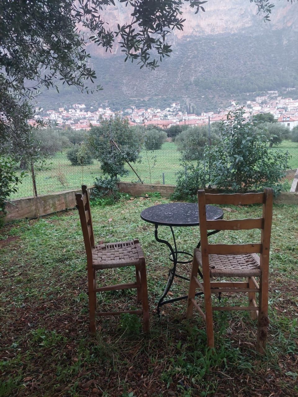 Natural landscape, Garden, Garden view, Mountain view
