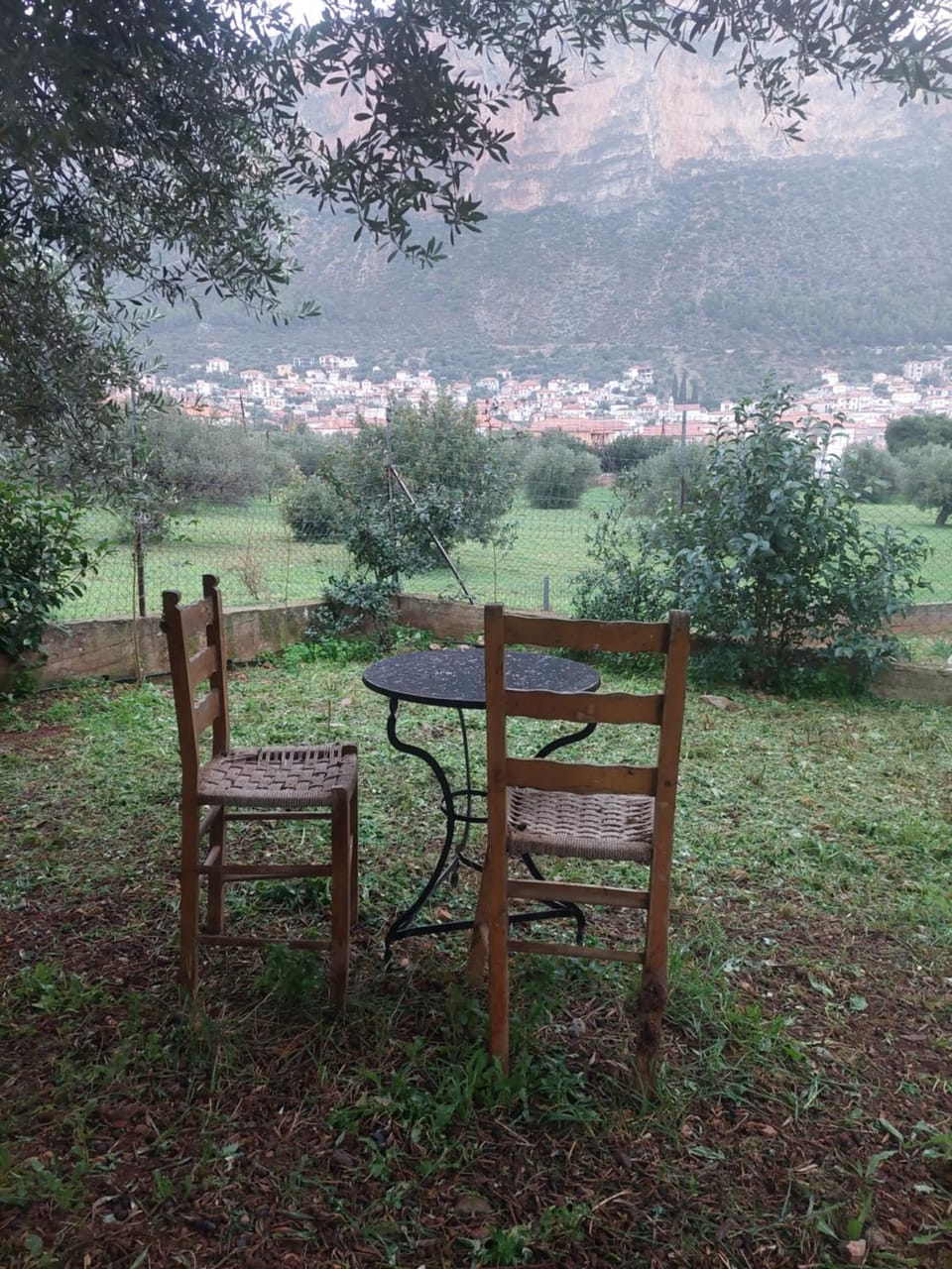 Garden, Inner courtyard view