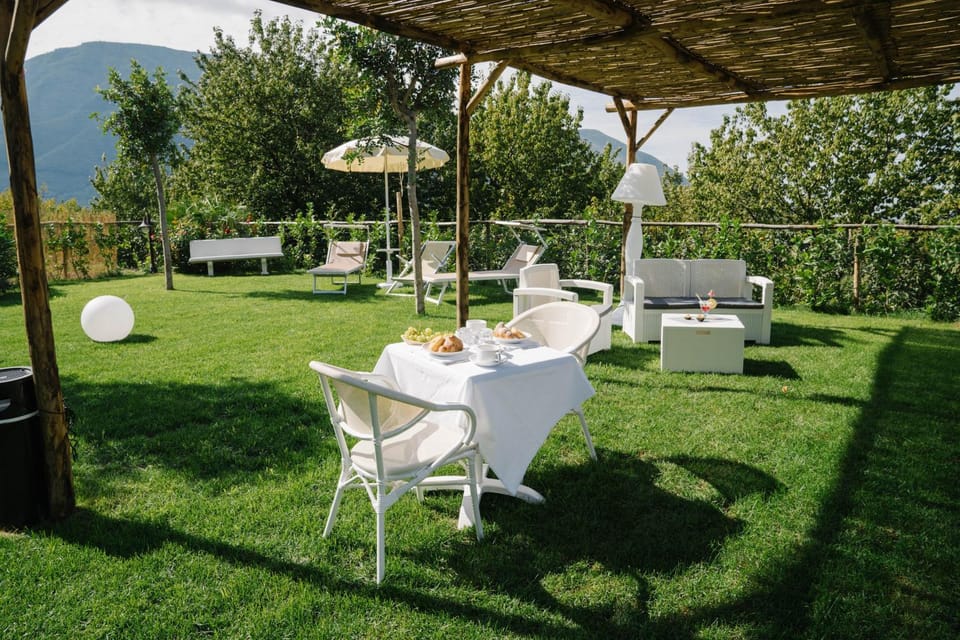 Patio, Garden