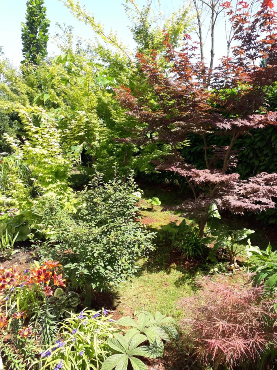 Natural landscape, Garden, Garden view
