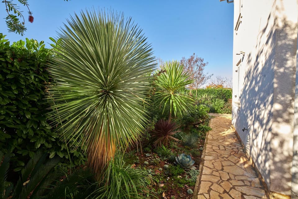 Garden, Garden view