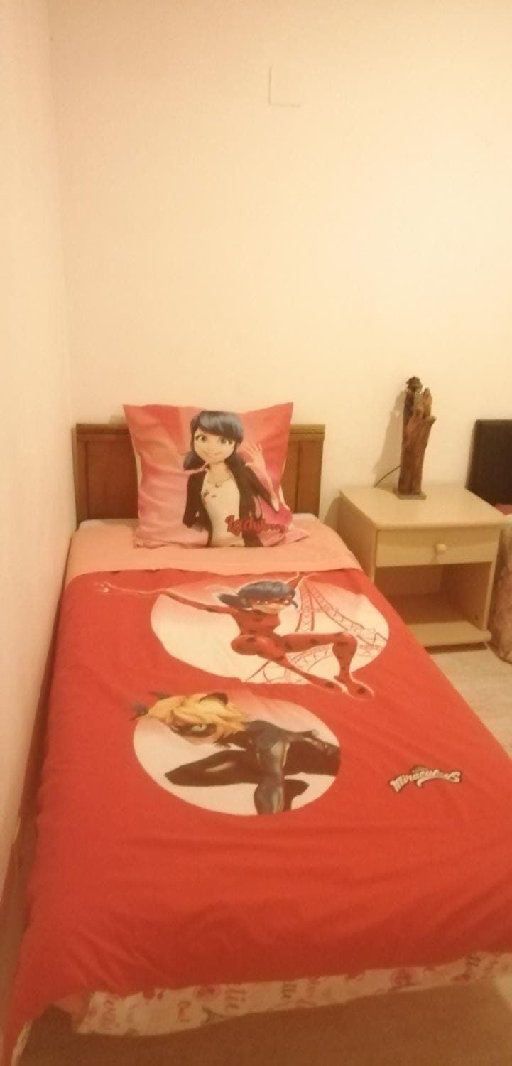 PETIT APPARTEMENT Apartment in Perpignan