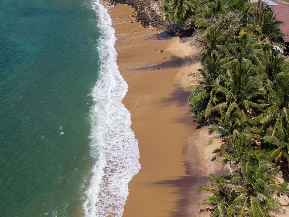 THE SLOW vegan hotel Hotel in Mirissa