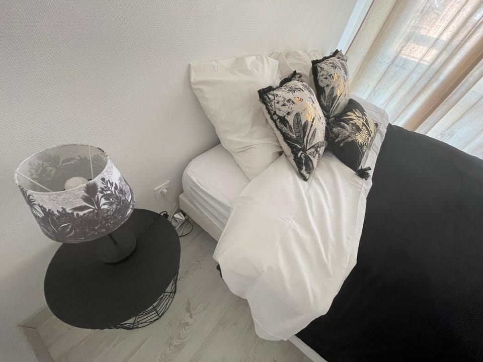 Le Grand DOLLFUS, 90m2 de charme au coeur de ville Apartment in Mulhouse