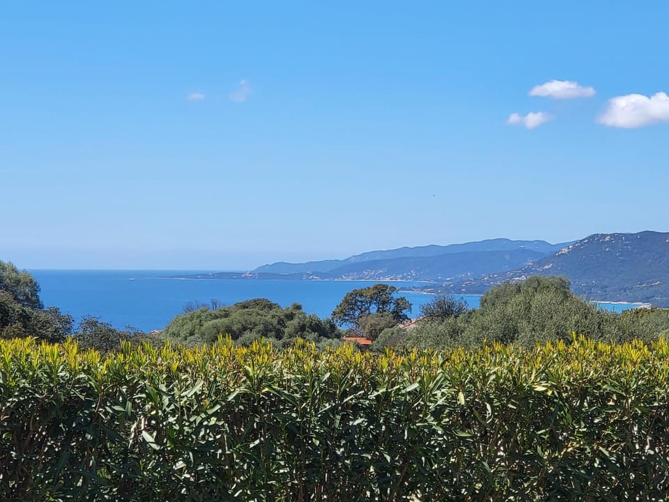 Sea view