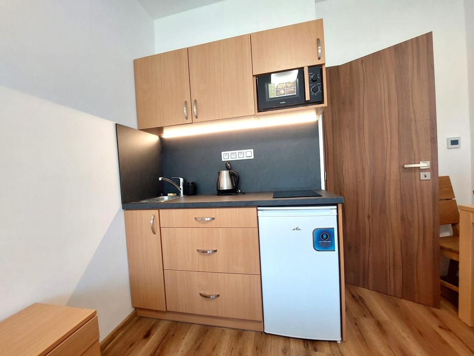 Pohoda u Žofína Apartment in South Bohemian Region