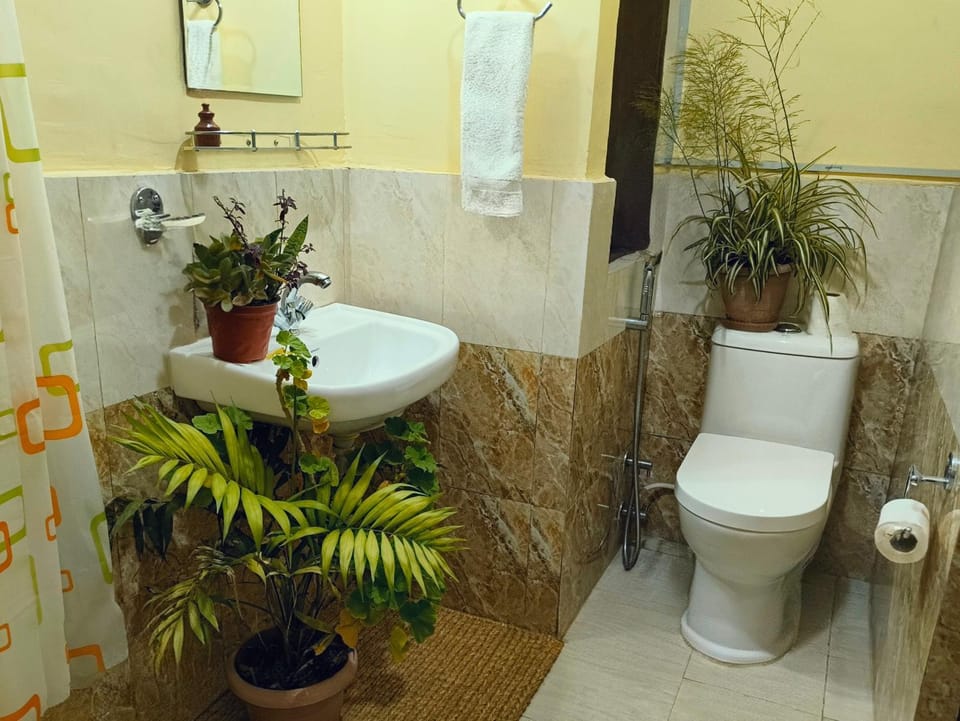 Toilet, Bathroom