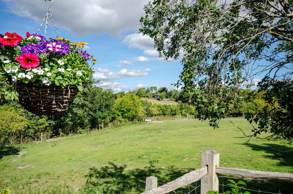 Natural landscape, Garden view