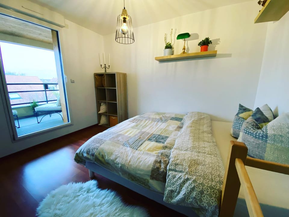 La Silberrunz Apartment in Colmar