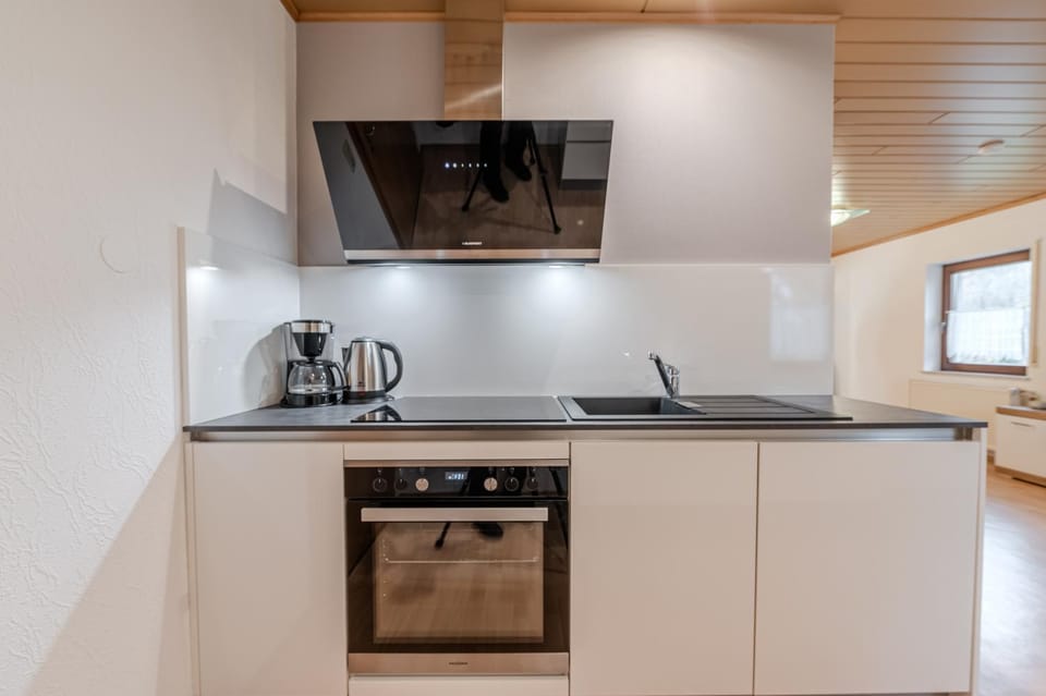 Kitchen or kitchenette, dishwasher, stove
