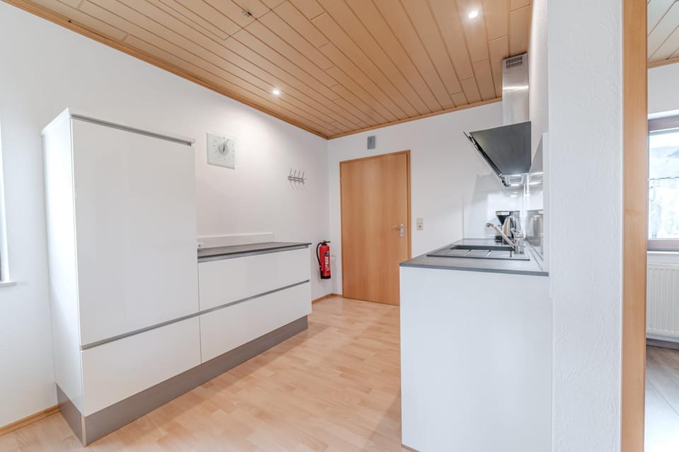 Kitchen or kitchenette, oven, stove