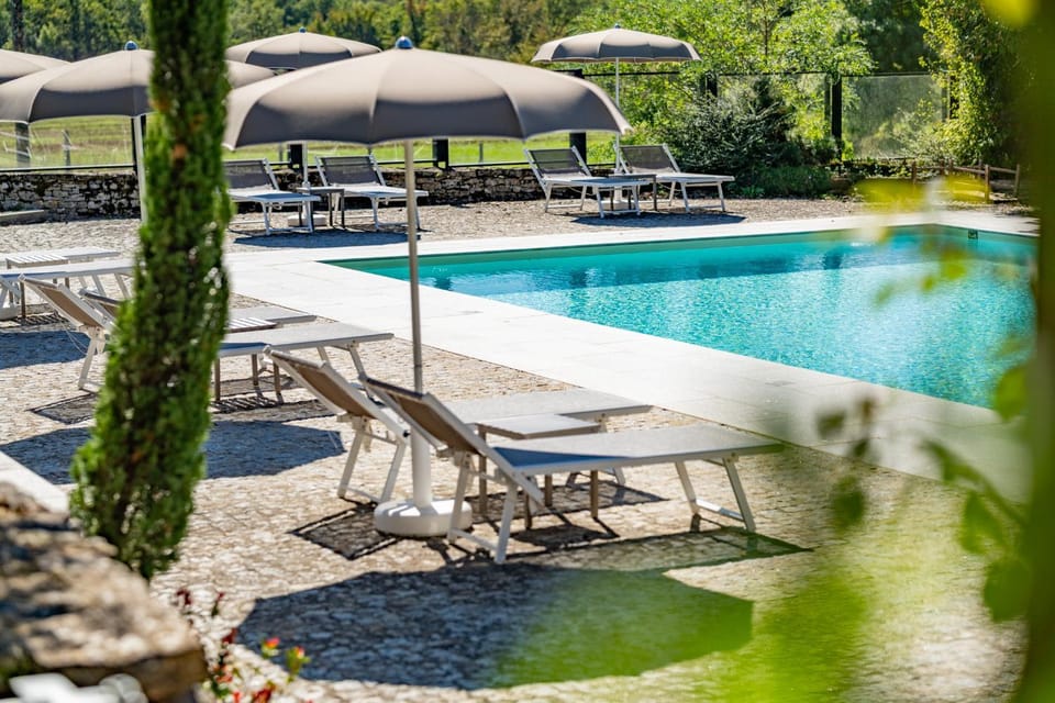 Pool view, Swimming pool, sunbed
