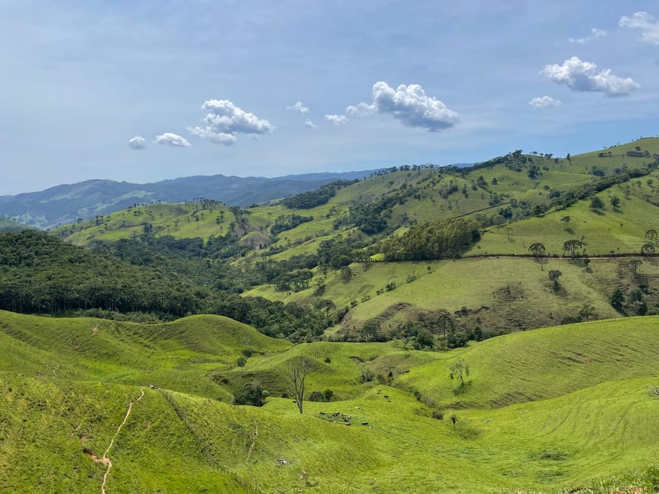 Natural landscape