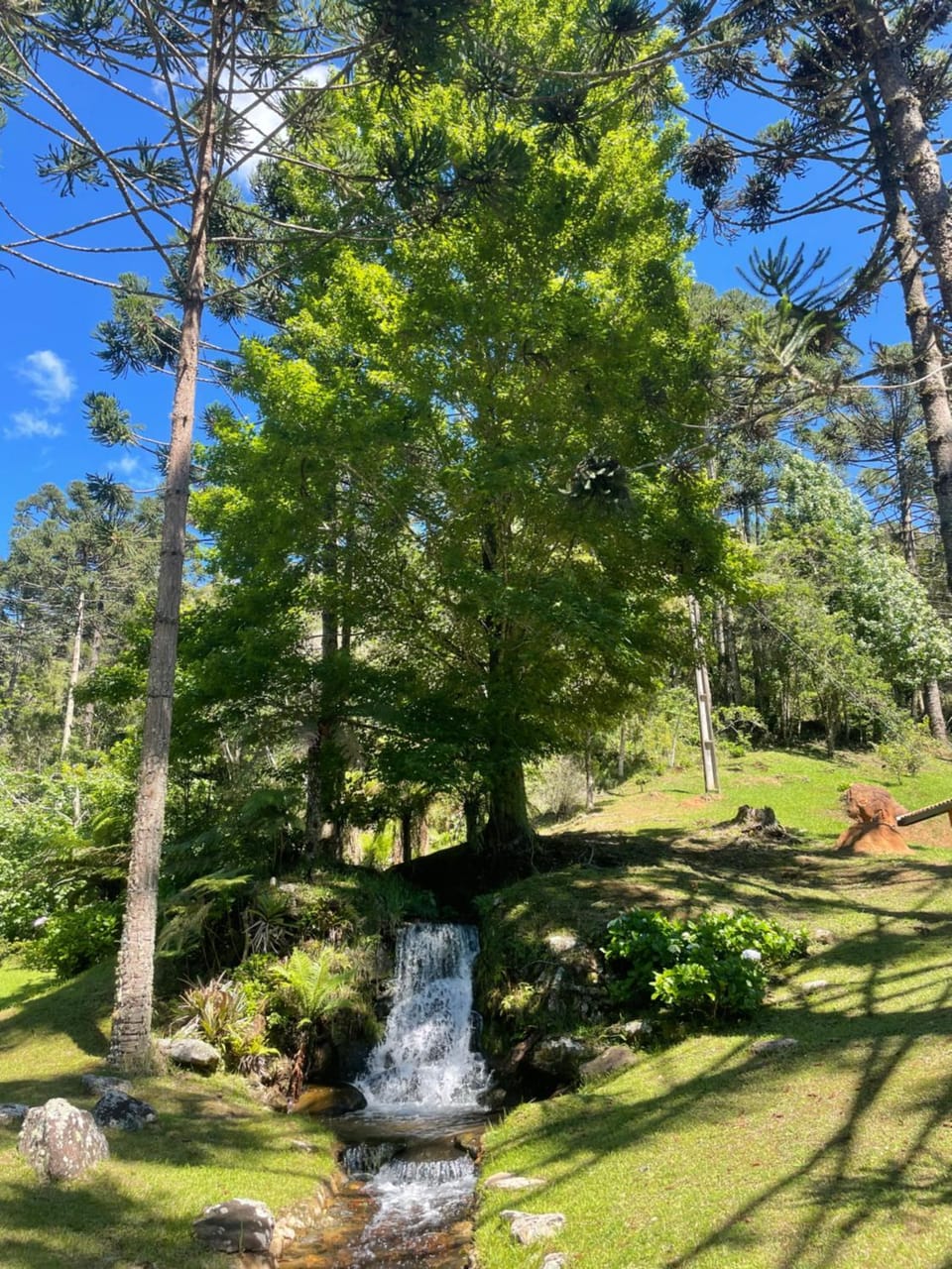 Natural landscape, Garden