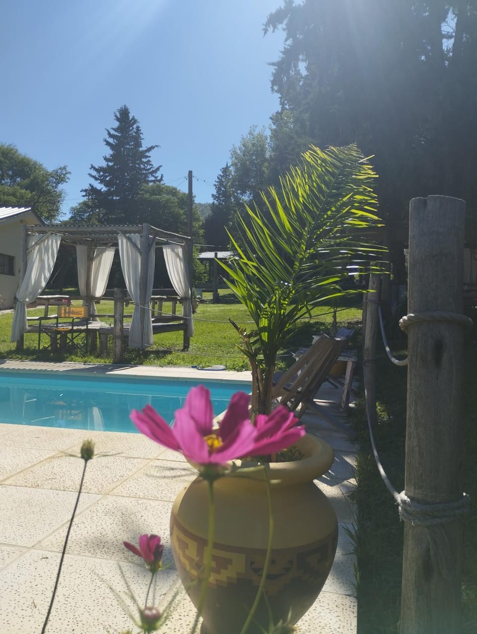 Natural landscape, Garden, Swimming pool