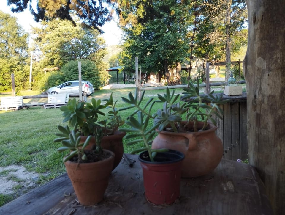Day, Natural landscape, Garden view