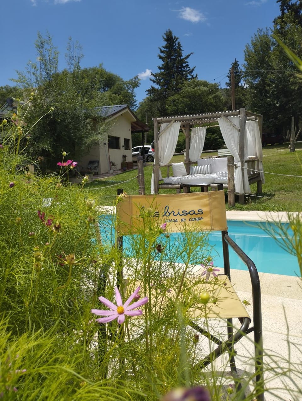 Day, Garden, Garden view, Pool view