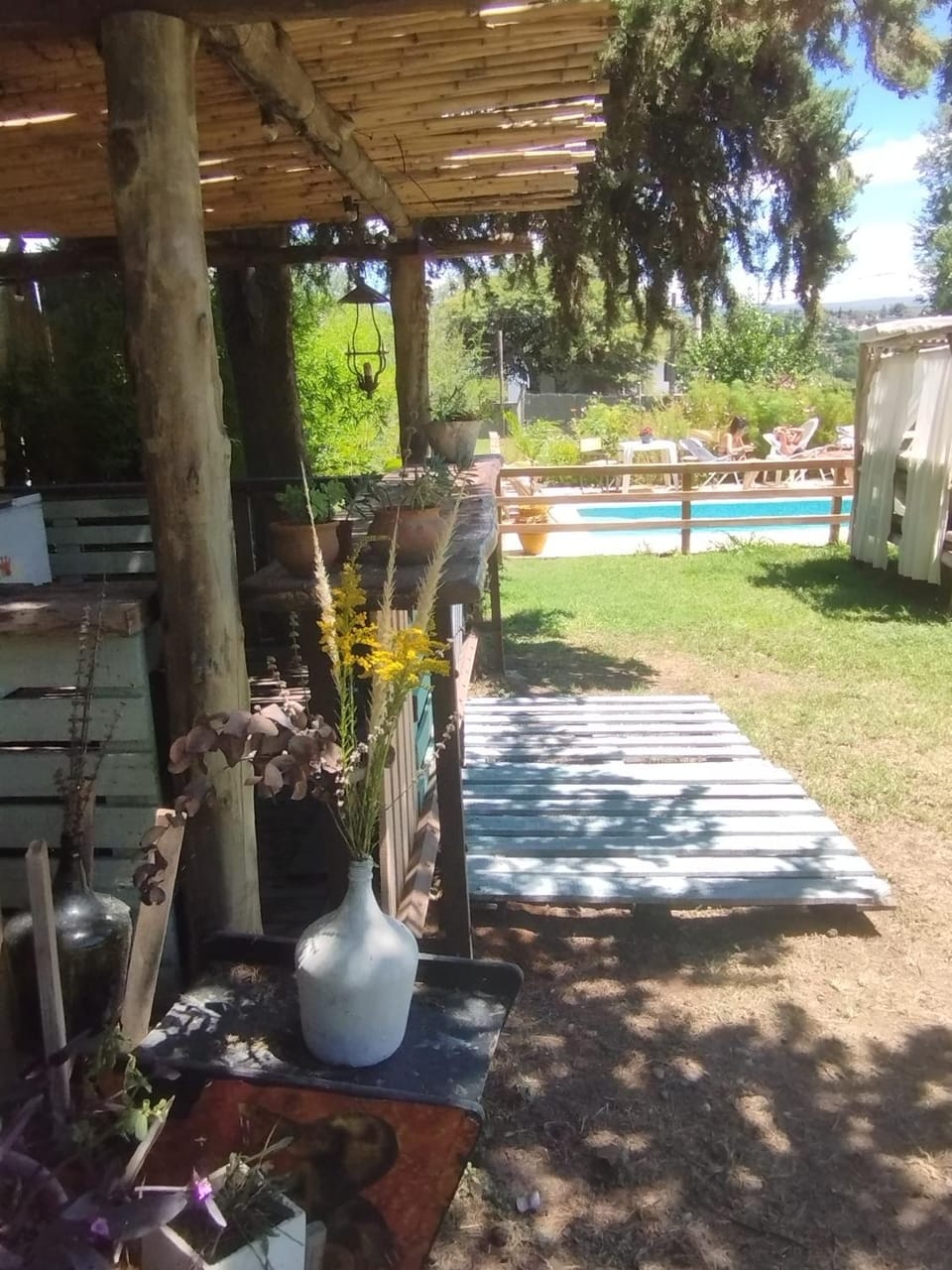 Garden, Swimming pool