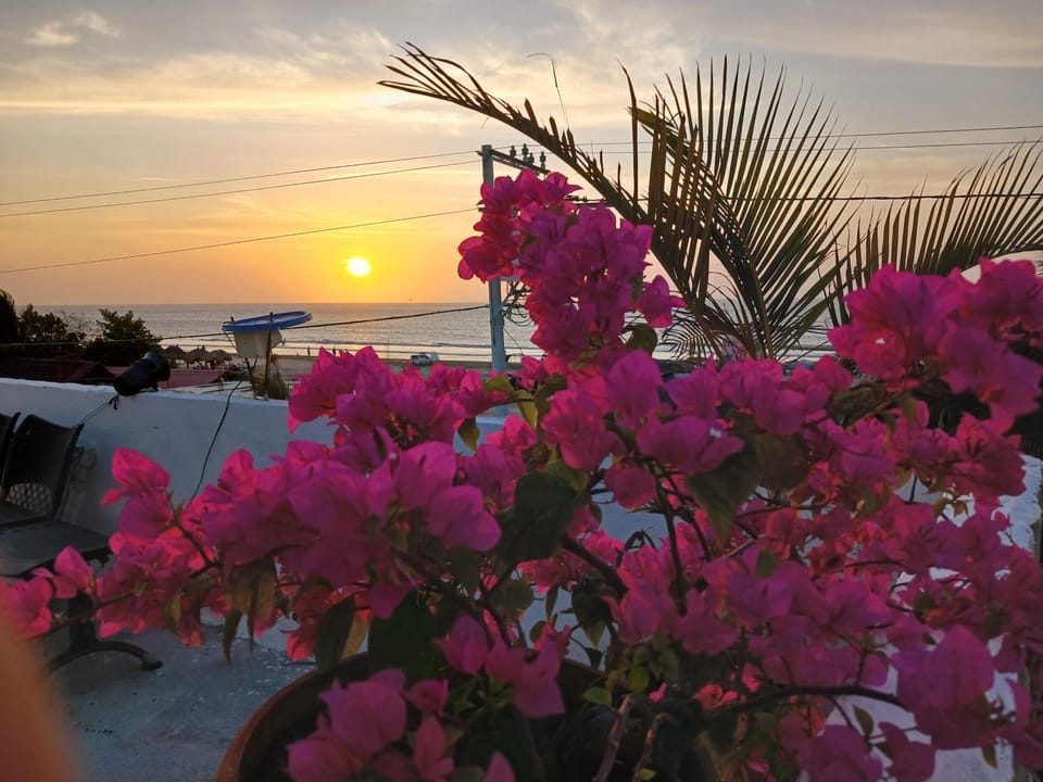 Beach, Sea view, Sunrise, Sunset
