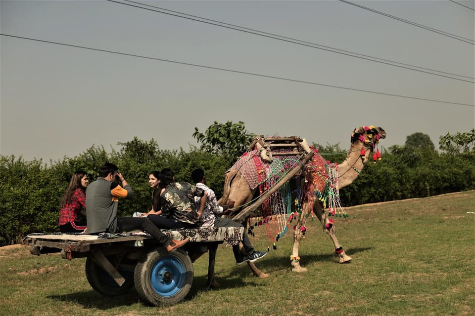 Horse-riding