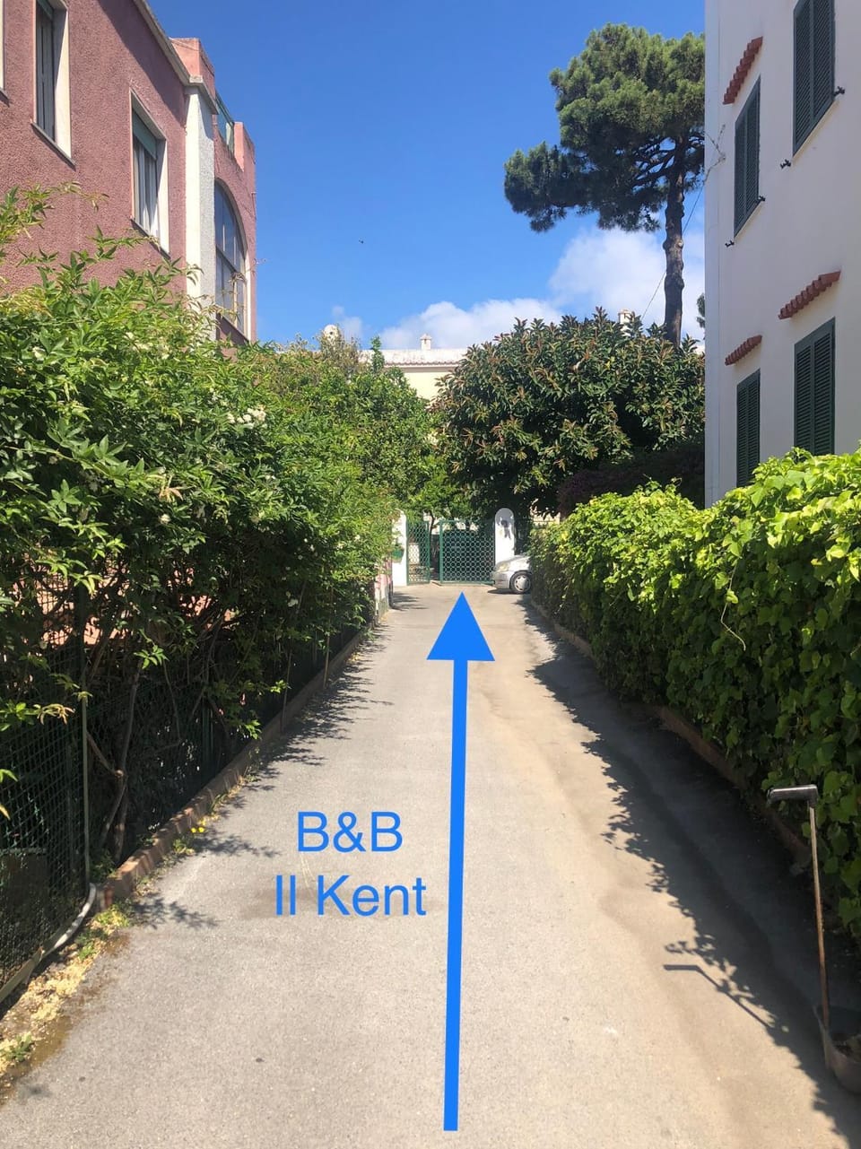 IL Kent Apartment in Ischia