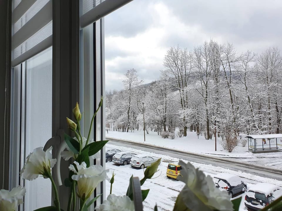 Natural landscape, Winter, View (from property/room), Parking