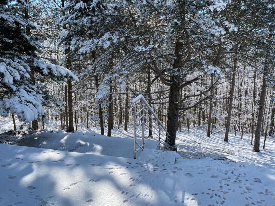 Ferienhaus in Niederösterreich mit 3 Apartments mitten im Wald Apartment in Austria