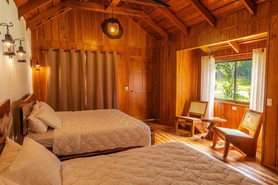 View (from property/room), Photo of the whole room