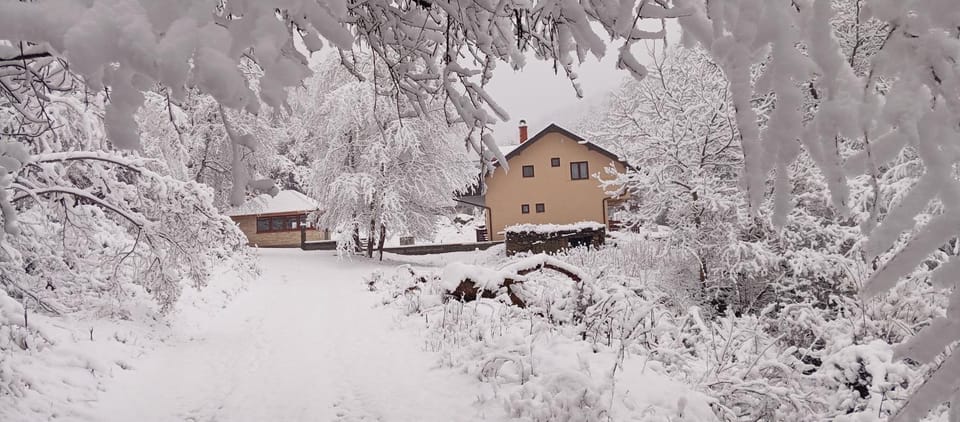 Vila Nada Bed and Breakfast in Serbia