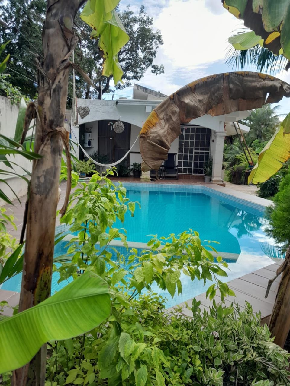 Day, Pool view, Swimming pool
