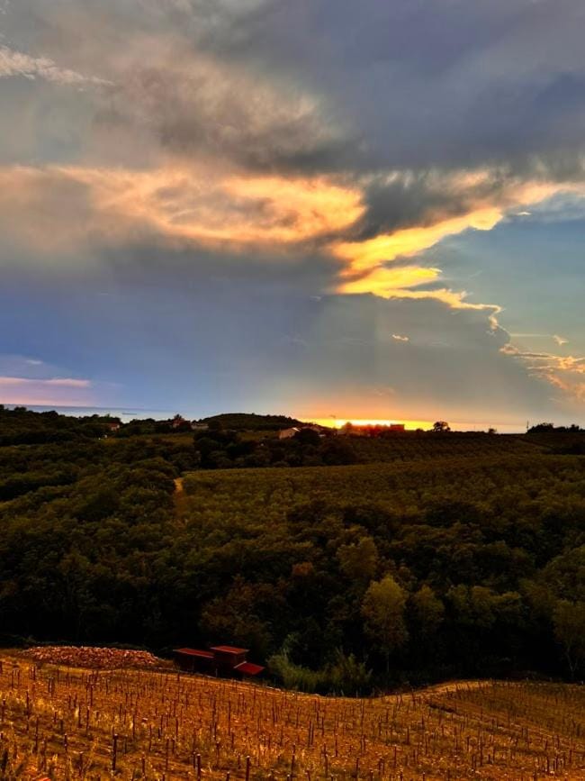 Gordia organic winery Farm Stay in Friuli-Venezia Giulia