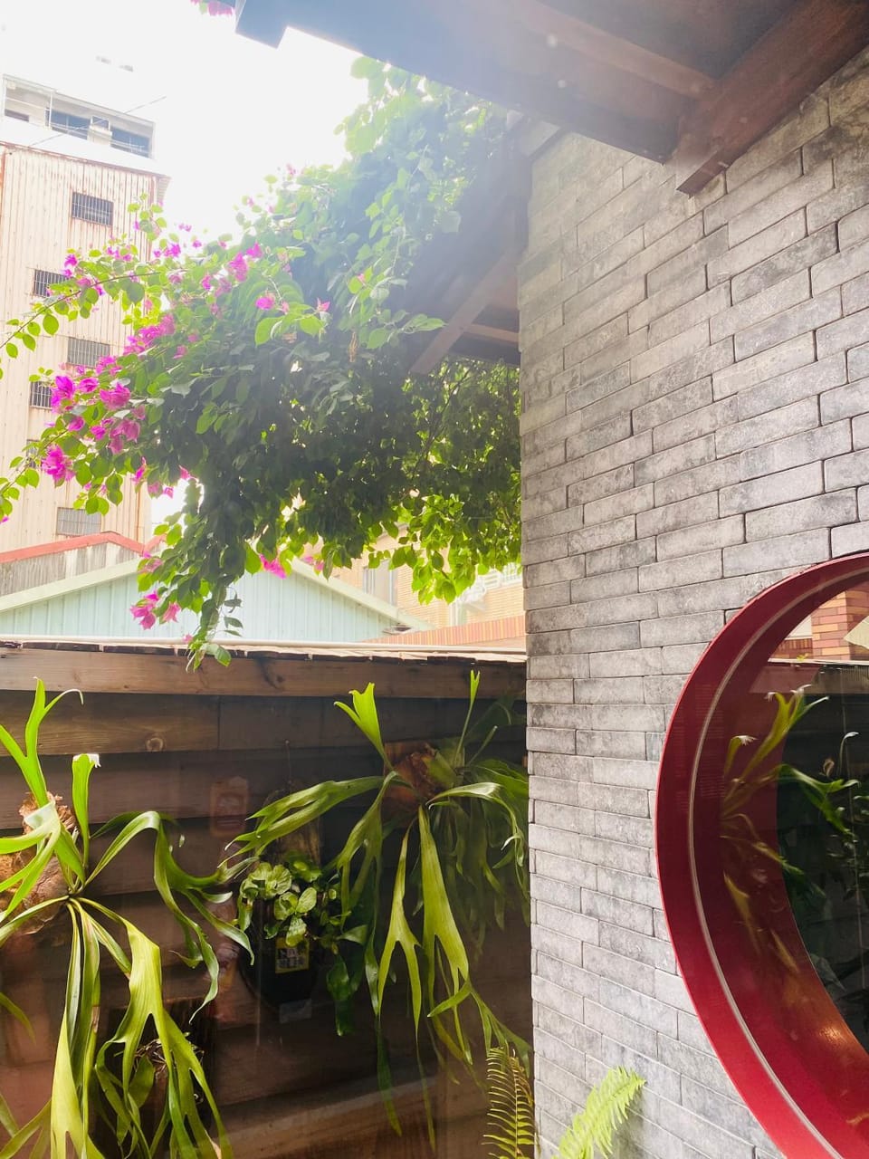 Garden view