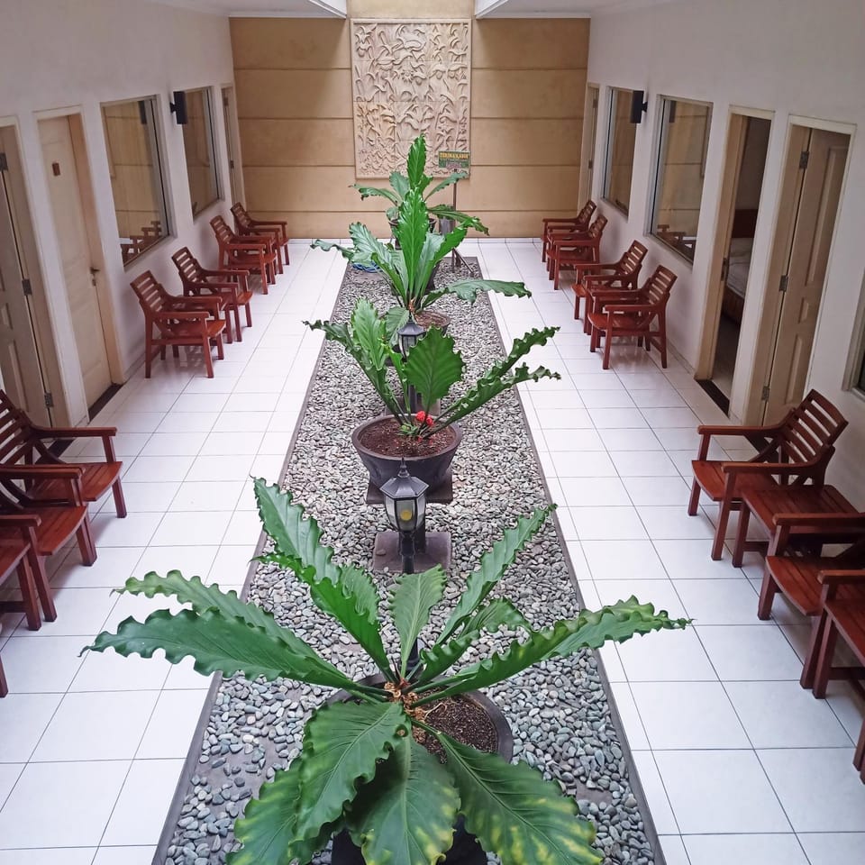 Garden, Balcony/Terrace