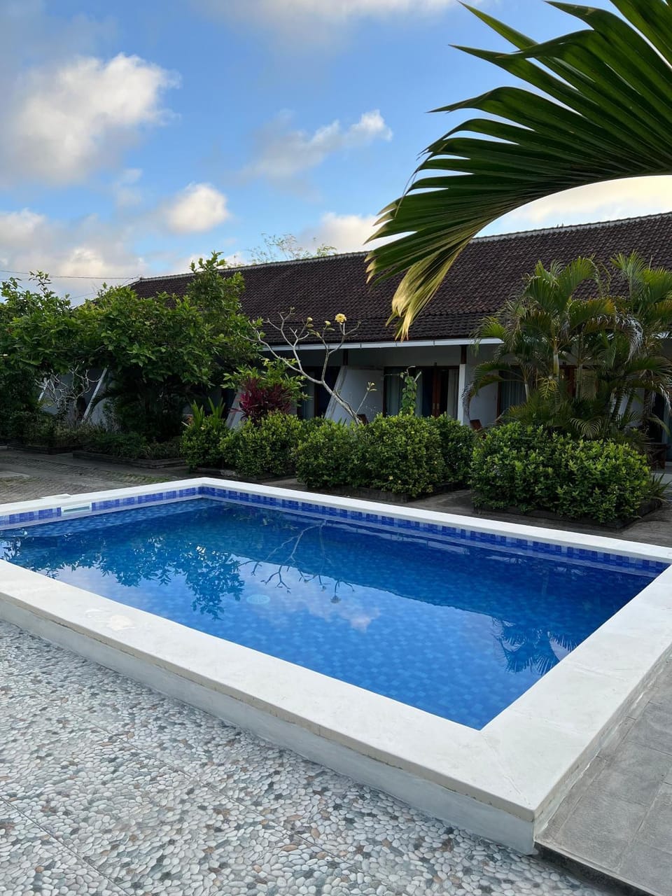 Day, Pool view, Swimming pool