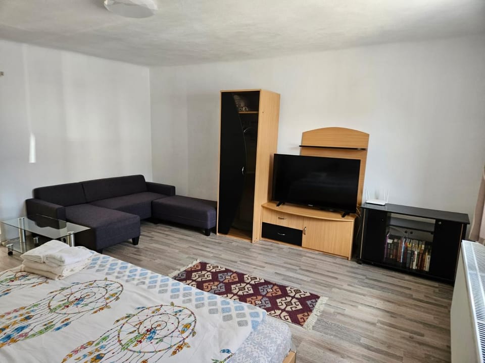 Living room, Photo of the whole room