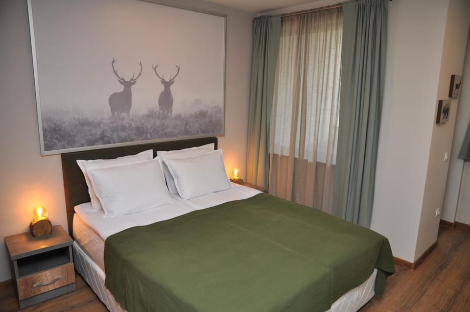 Hashtag Studio Borovets Apartment in North Macedonia