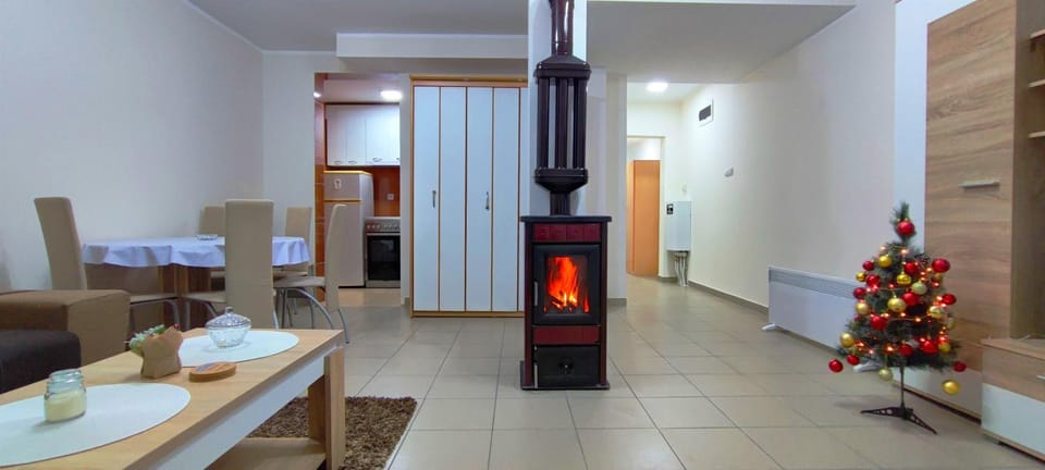 Apartman Mis Divcibare Apartment in Zlatibor District, Serbia