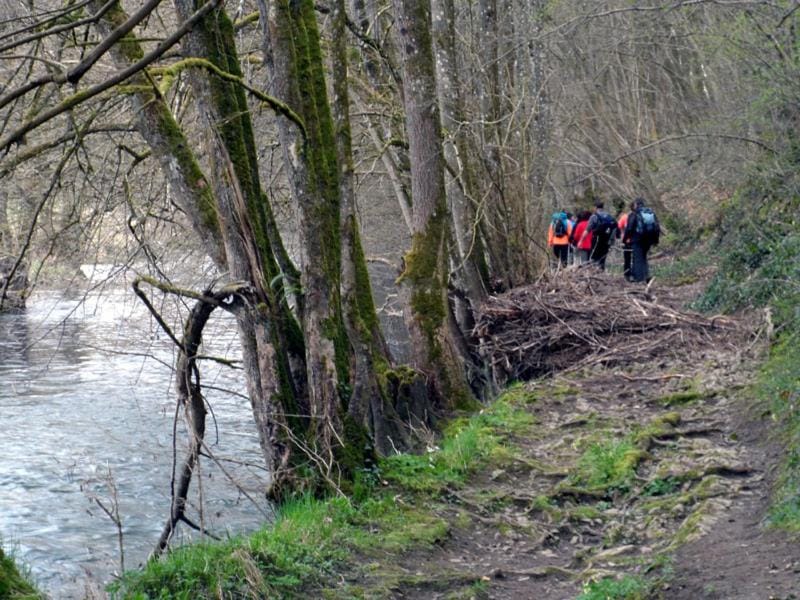 Natural landscape, Activities