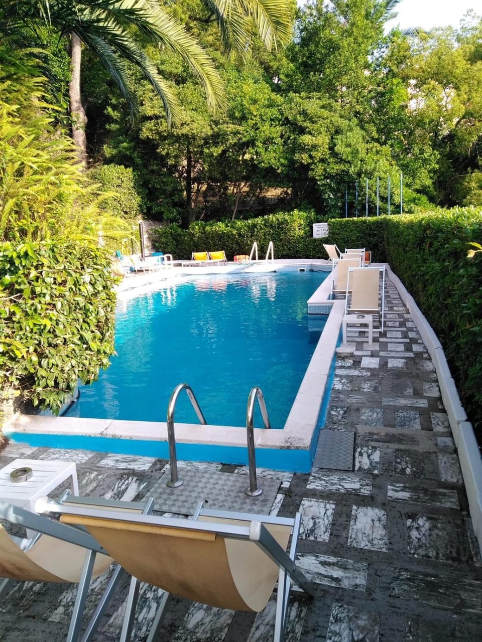 Day, Pool view, Swimming pool, sunbed