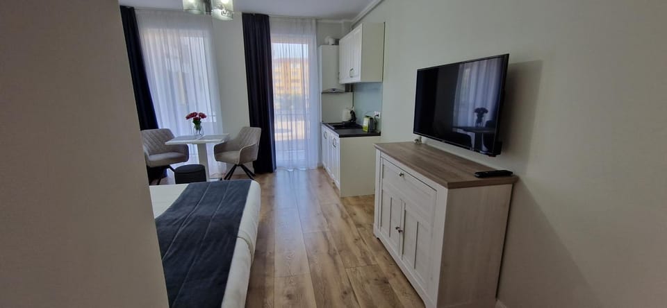 Studio Ema Apartment in Romania