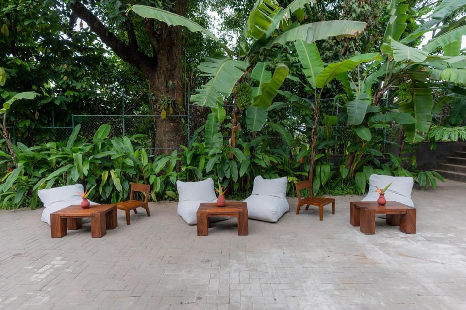 Lounge or bar