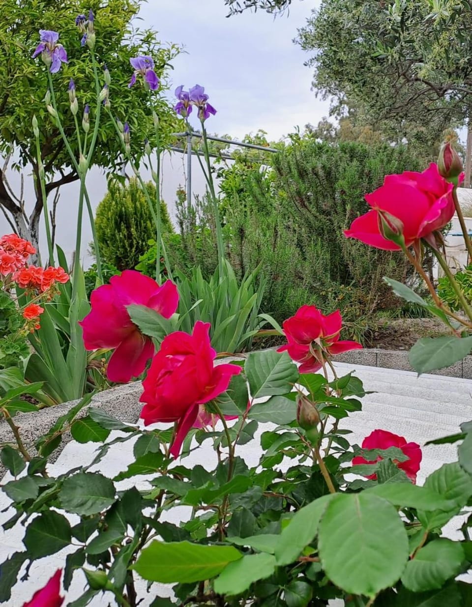 Arhondia House House in Lasithi