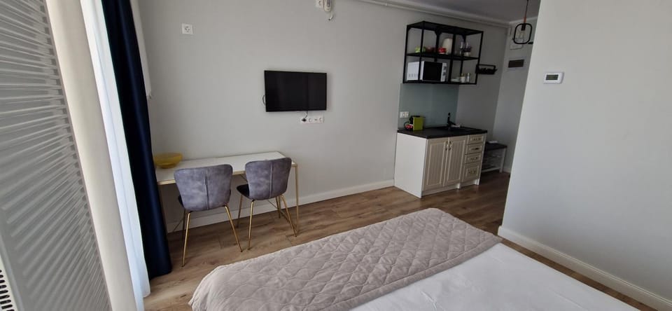Studio Ema II Apartment in Romania