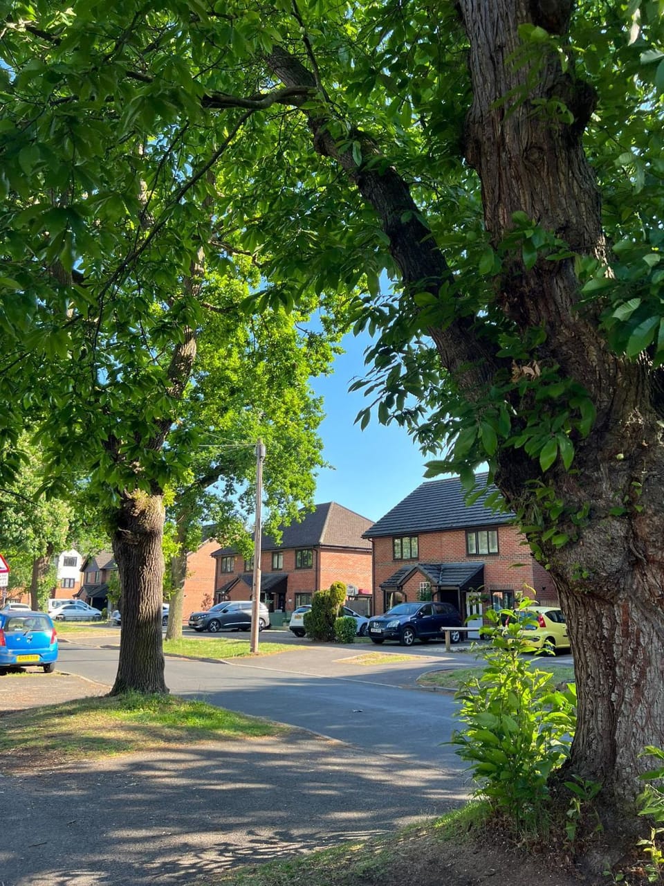 Neighbourhood, Parking