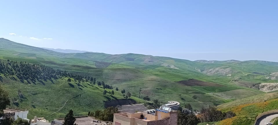 Spring, Mountain view
