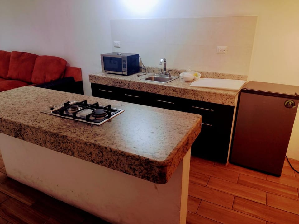 Kitchen or kitchenette, minibar, oven, stove