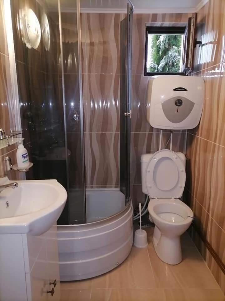 Pensiunea Casa Andreea - Bârsana Maramureș Bed and Breakfast in Romania